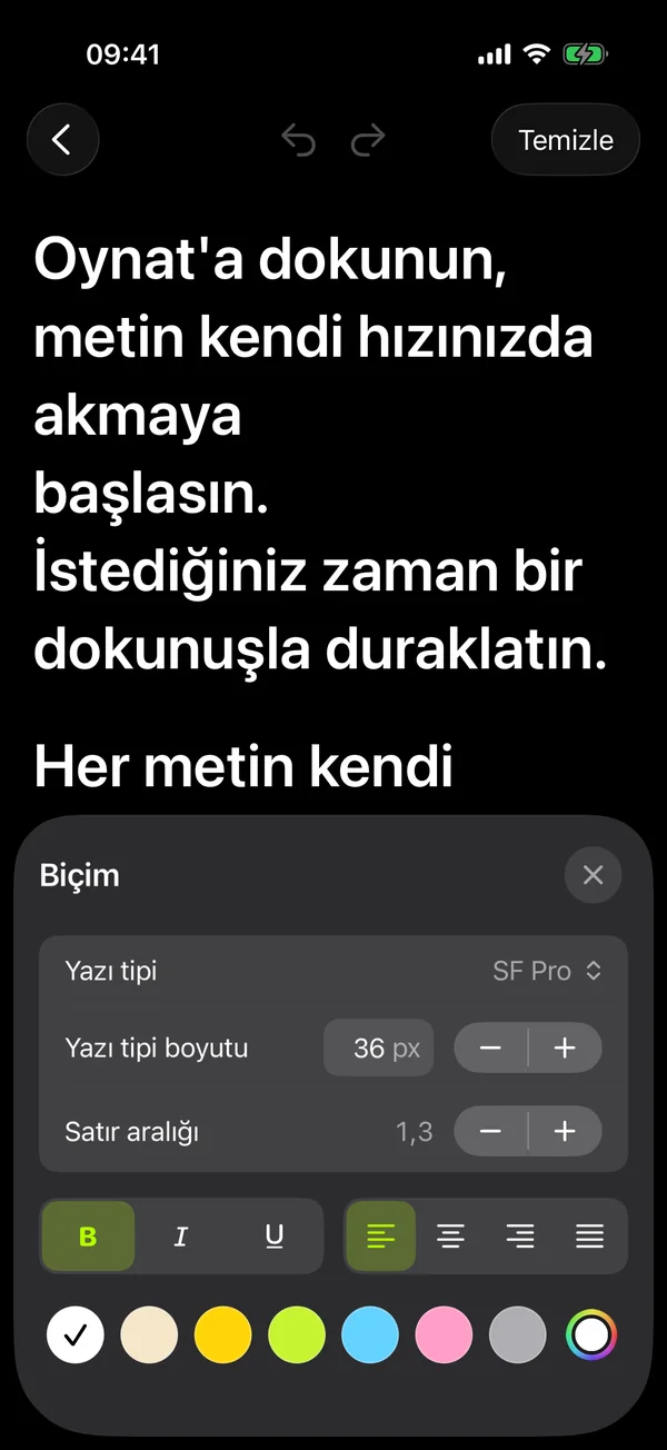 Yazı tipi, metin boyutu, satır aralığı ve metin rengi içeren biçim paneli